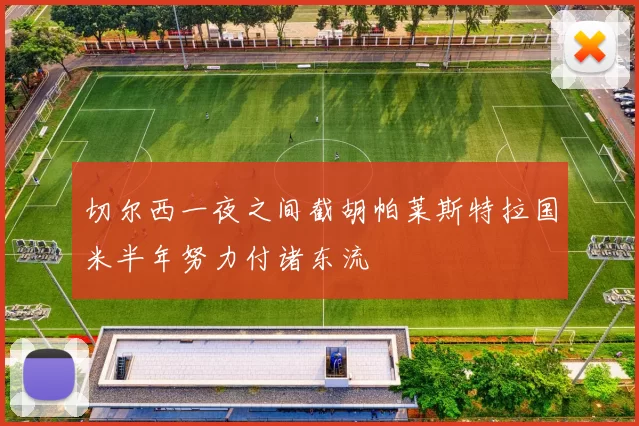 切尔西一夜之间截胡帕莱斯特拉国米半年努力付诸东流